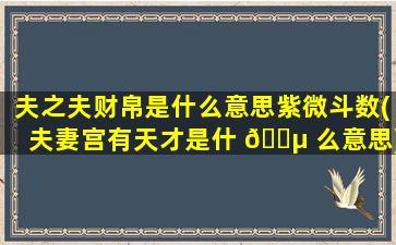 夫之夫财帛是什么意思紫微斗数(夫妻宫有天才是什 🐵 么意思)